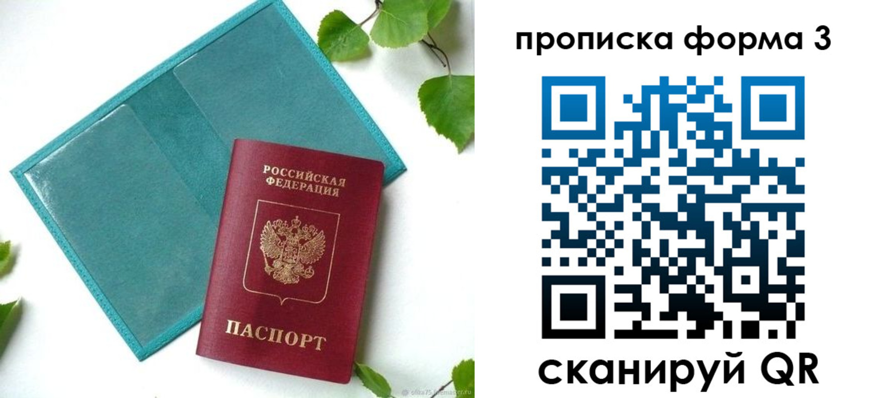 прописка ребенка в Сураже