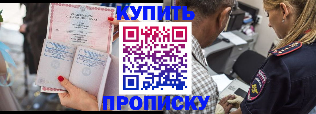 прописка законно в Сураже